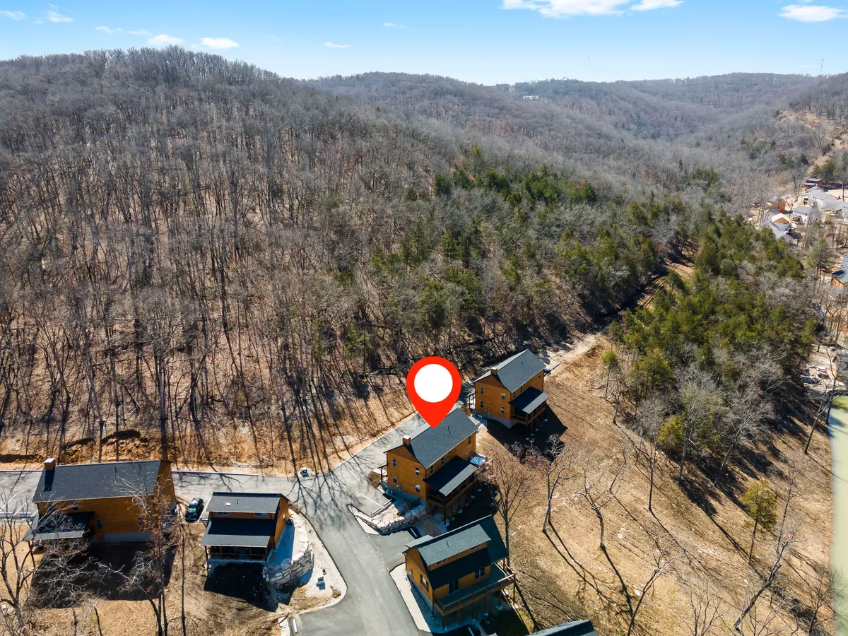 A peaceful exterior view of three wooden cabins nestled in a wooded area, with a winding road leading through the natural landscape. The scene suggests tranquility, connection to nature, and easy access to outdoor activities.